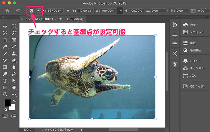 Photoshop の 変形 コマンドでオプションバーの基準点がグレーアウトしている Too クリエイターズfaq 株式会社too