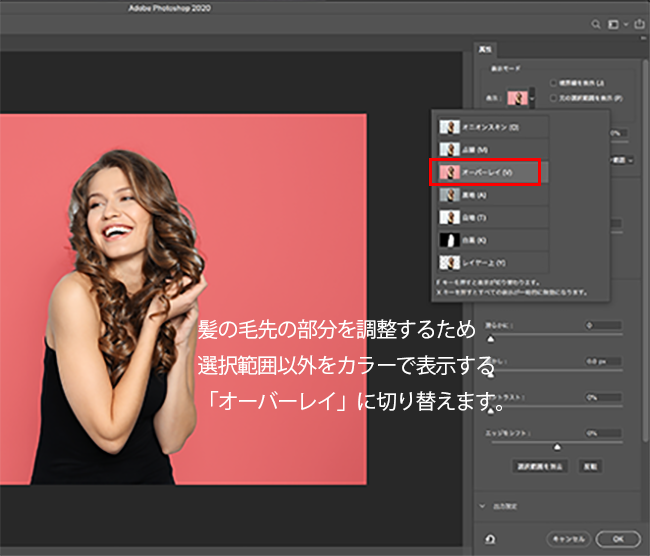 人物の髪の毛など細かな選択範囲を素早く作成し 切り抜きの処理をしたい 被写体を選択 Too クリエイターズfaq 株式会社too